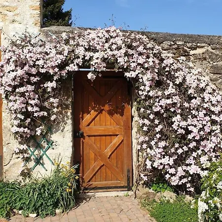Le Cinq